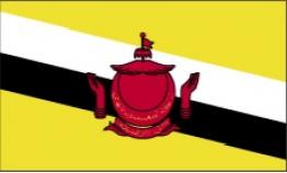 Brunei Darussalam 